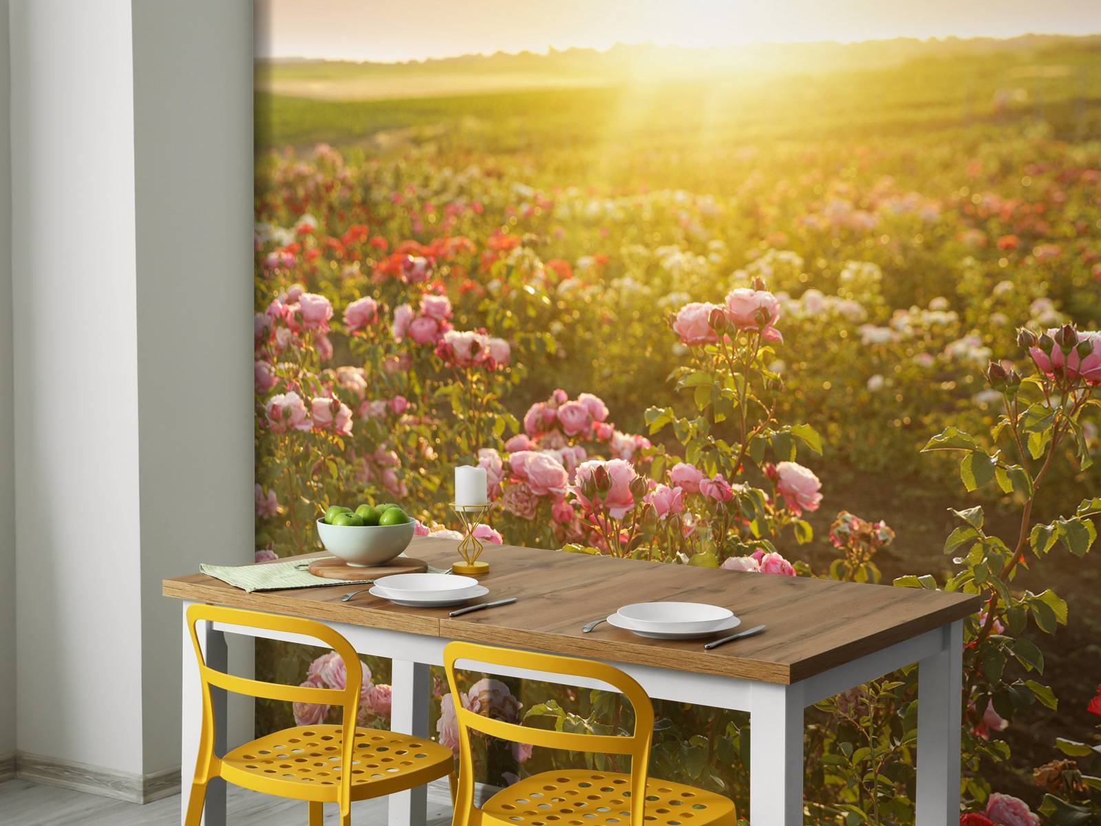Veld vol rozen