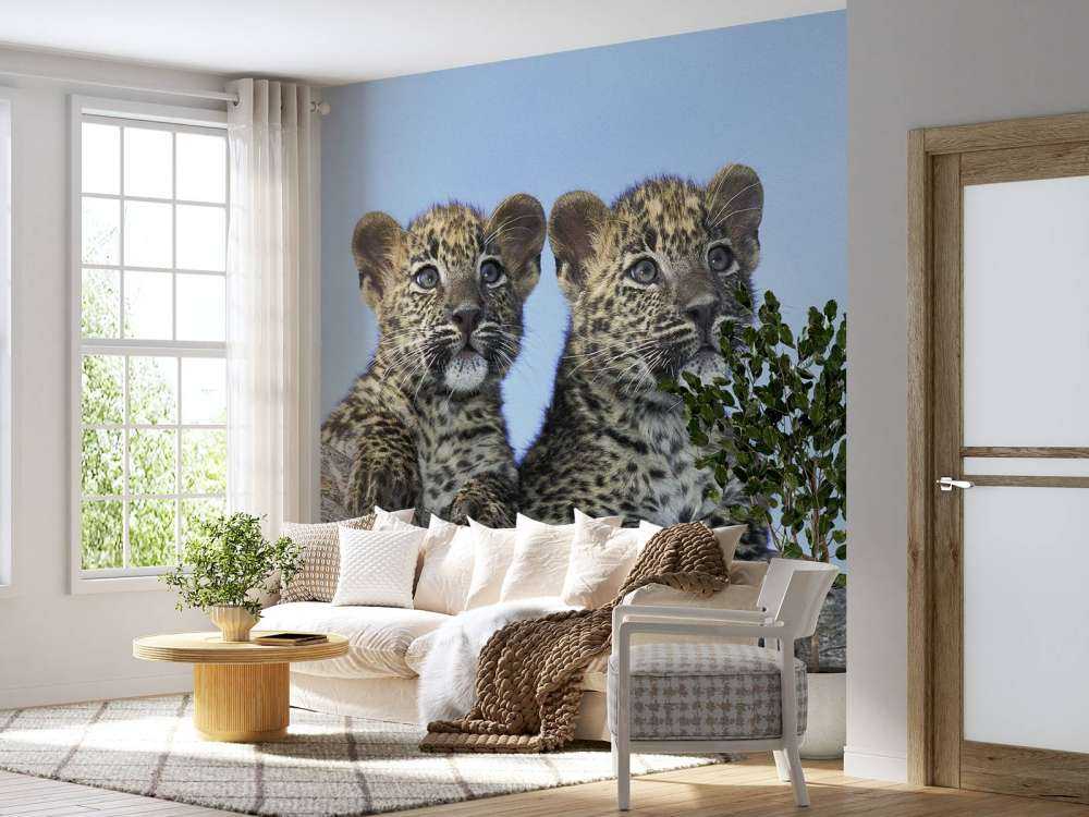 Kleine luipaarden