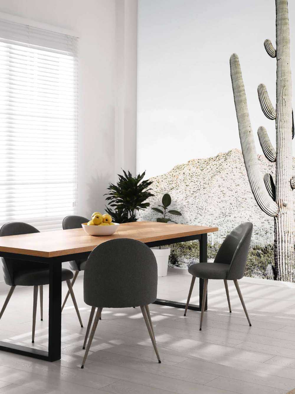 Hoge cactus