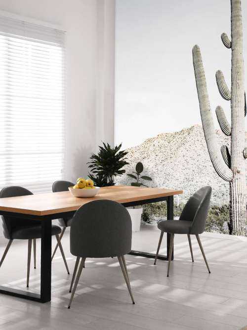 Hoge cactus