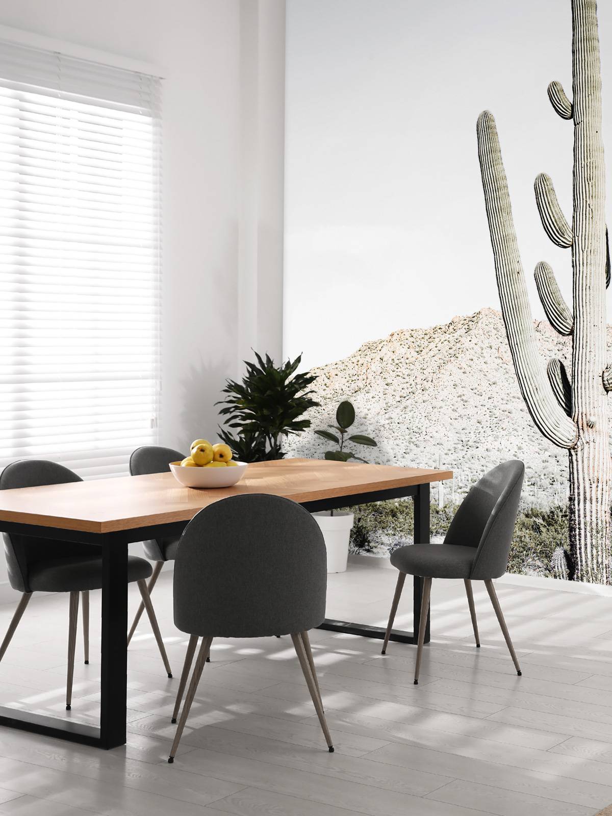 Hoge cactus
