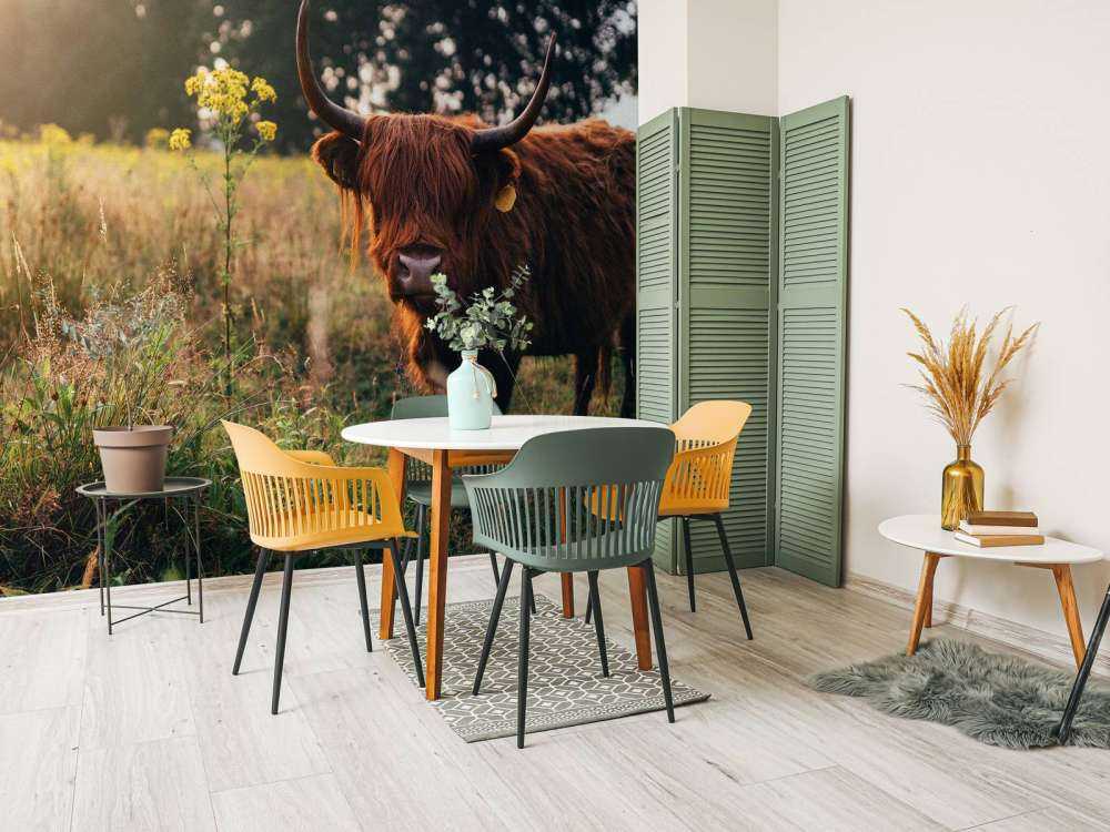 Schotse hooglander in het hoge gras