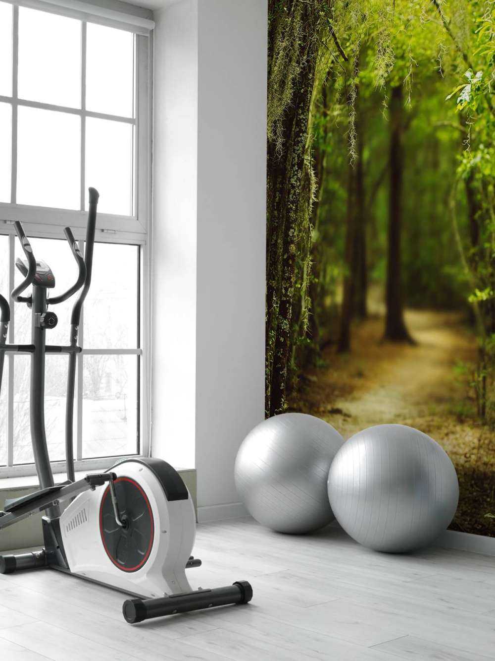 Spaans bos vol met mos