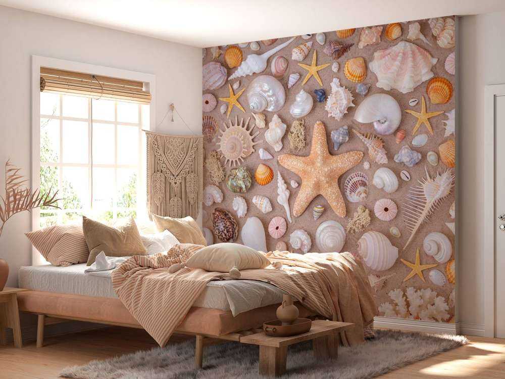 Full frame of collection of seashells