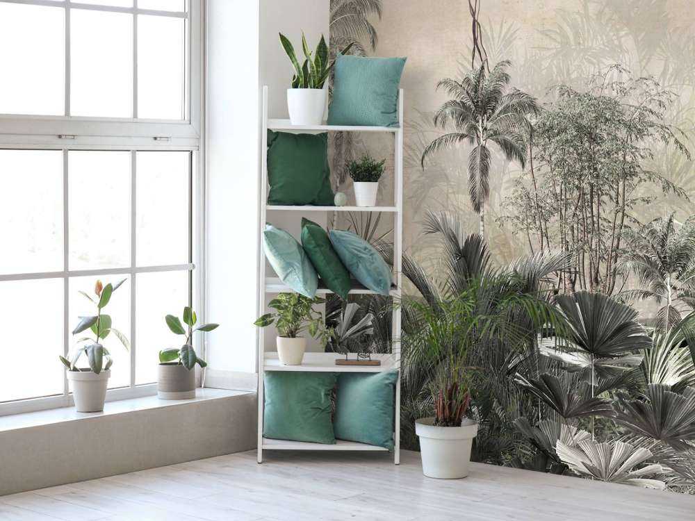 Tropisch Woud in Nevel