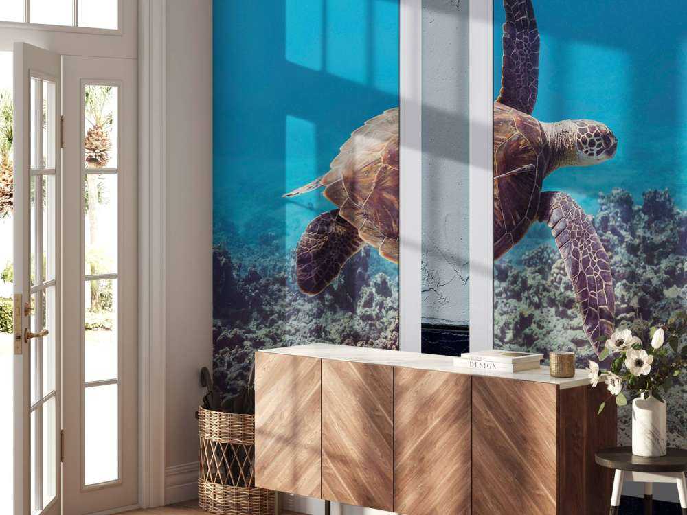 Zeeschildpad boven koraalrif