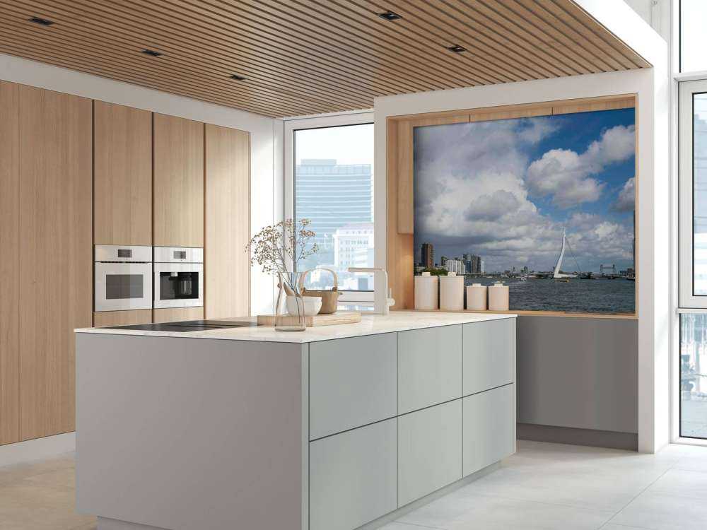 Stadszicht met Erasmusbrug