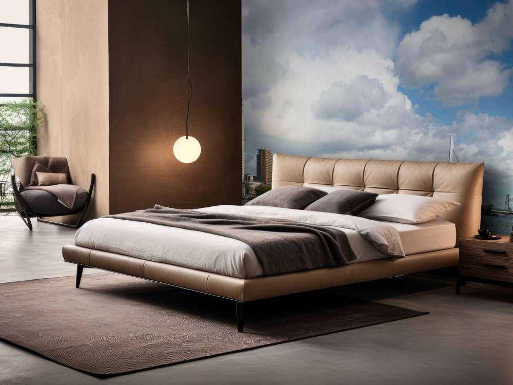 Stadszicht met Erasmusbrug