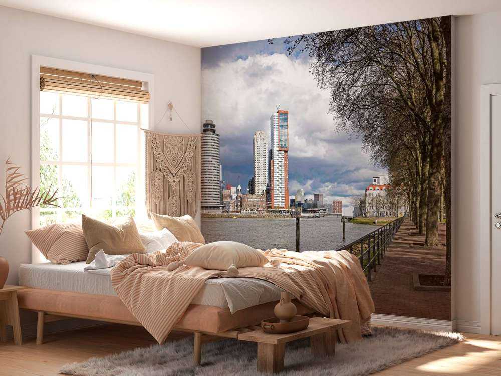 Rotterdamse Skyline vanaf de Kade