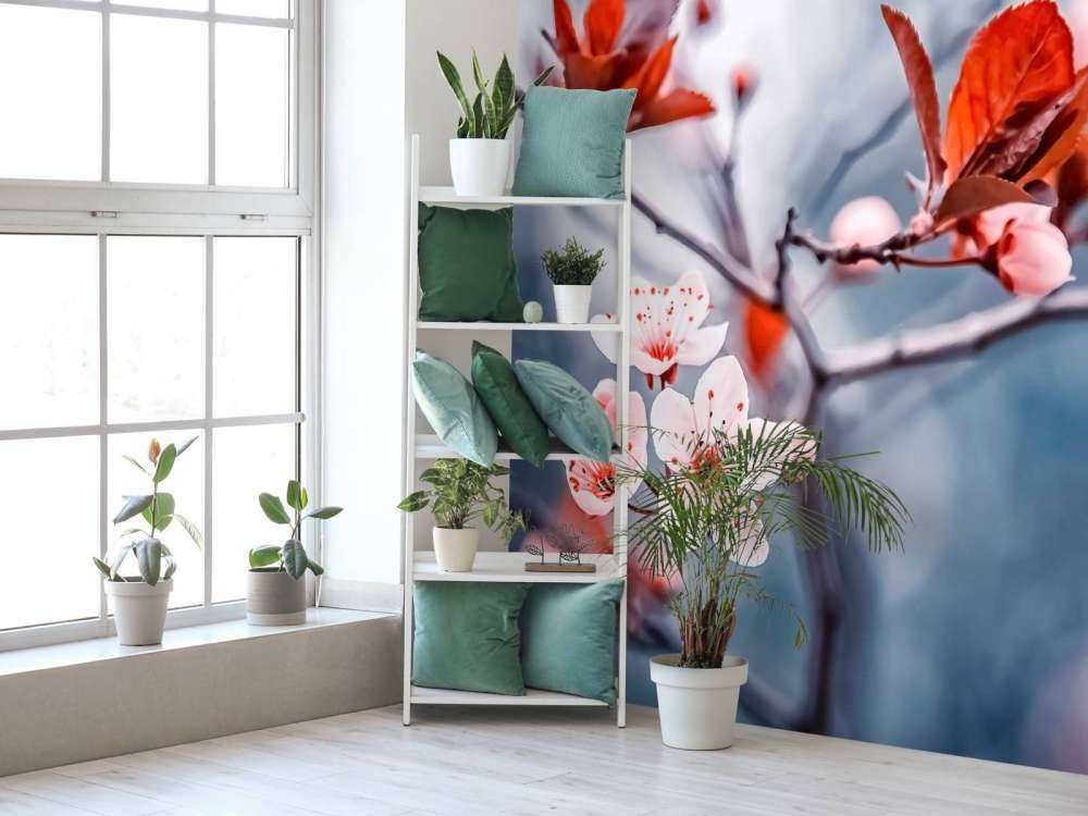 Kersenbloesem met roodbruine blaadjes