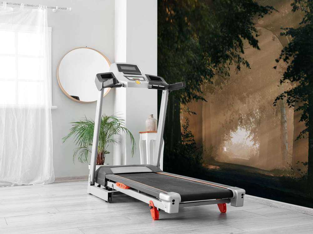 Gouden Lichtval in het Bos