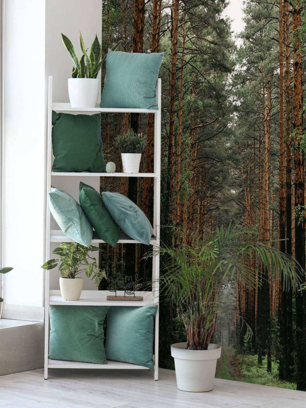 Symmetrie van het Woud