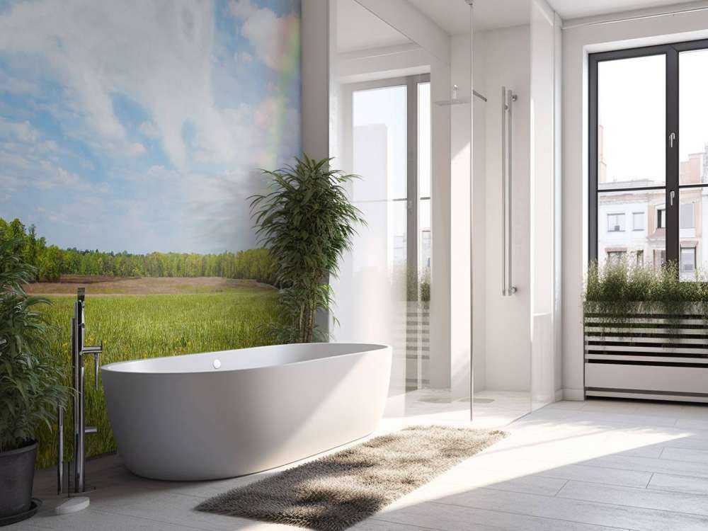 Open veld met Hond Engel wolk