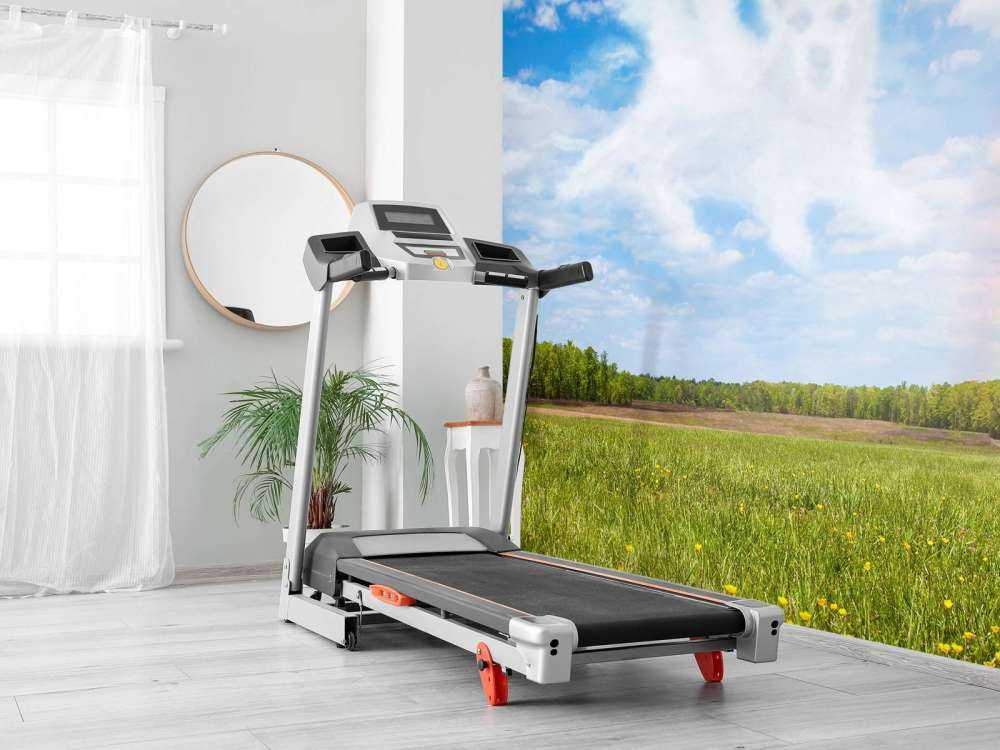 Open veld met Hond Engel wolk