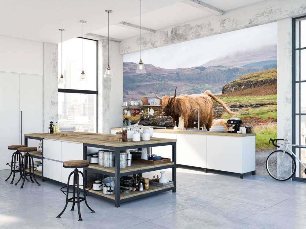 Schotse Hooglander op Mull