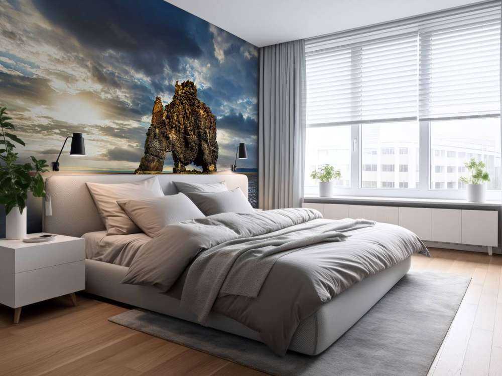 Hvítserkur rots in IJsland