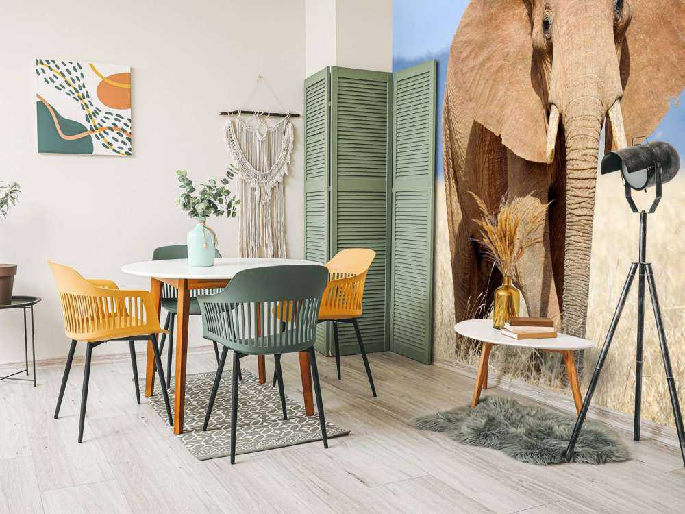 Grote olifant in hoog gras