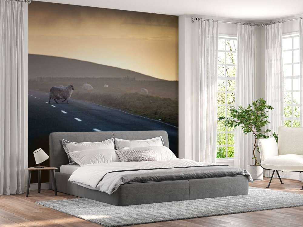 Overstekende schapen