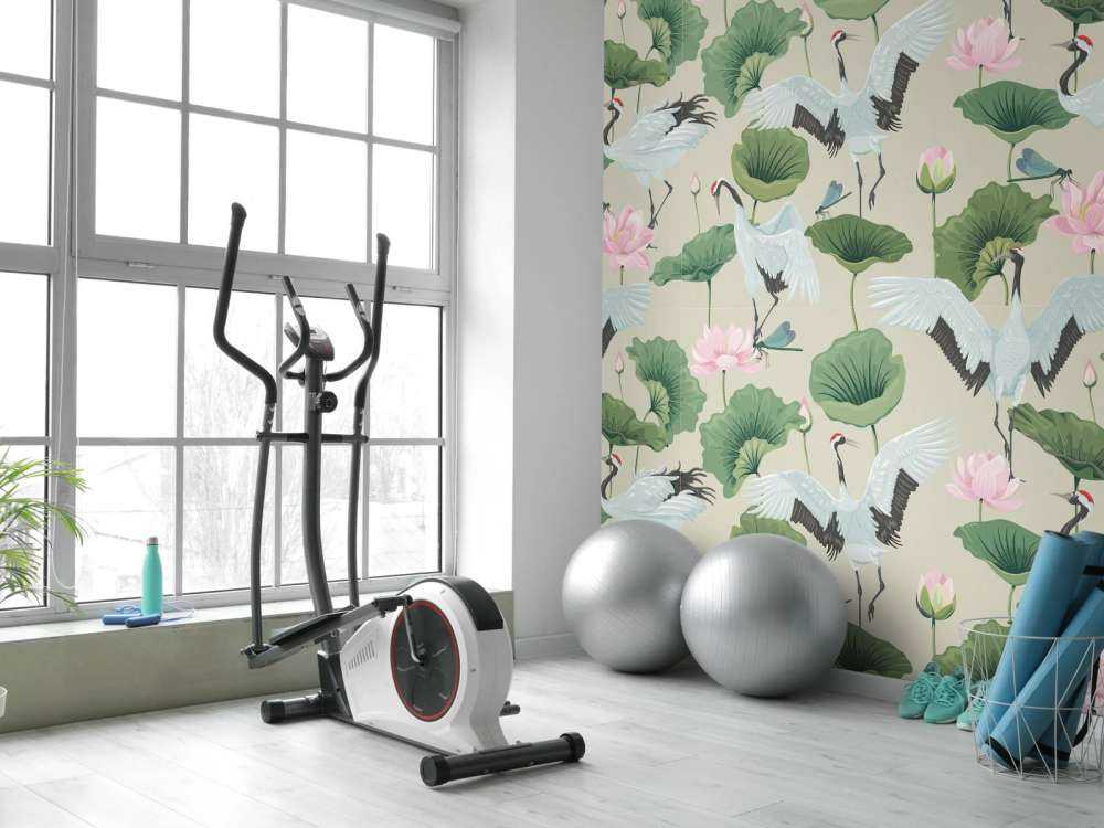 Witte kraanvogels, lichtbruin