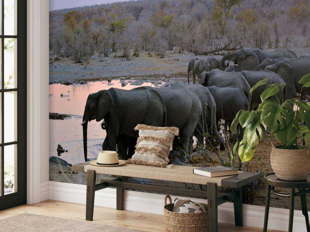 Olifanten langs het water