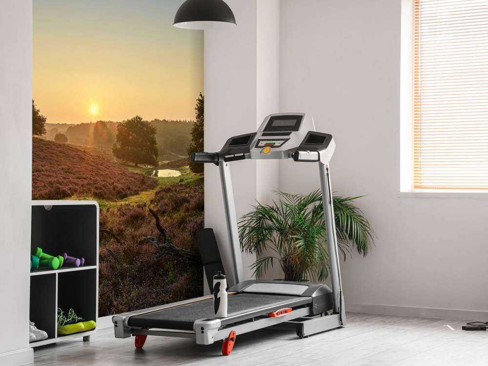 Waterplas op de heide