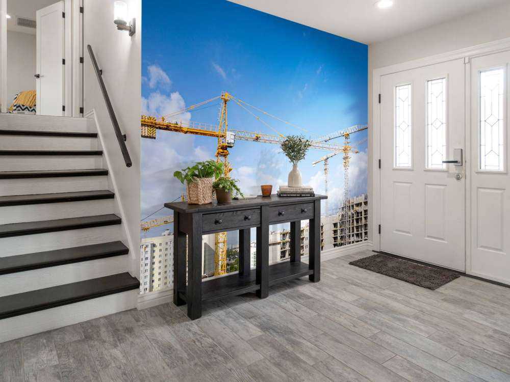 Hijskranen aan het werk