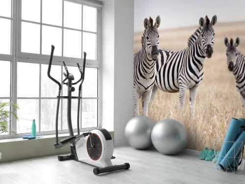 Zebra's in de natuur
