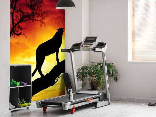 Cheetah op een boom