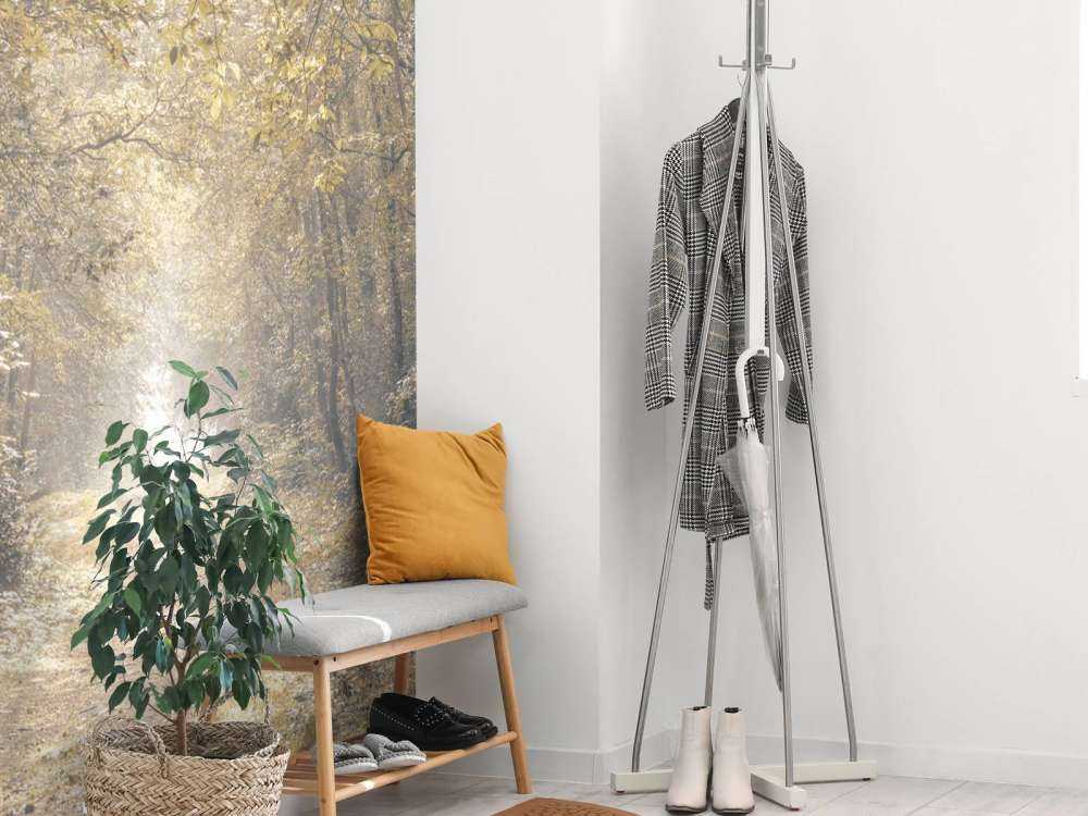 Pad door een verlaten bos