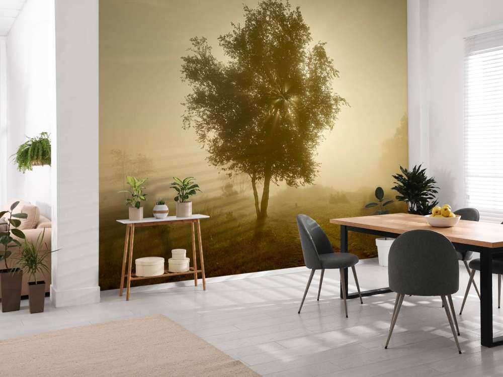 Goudkleurige zonsopkomst