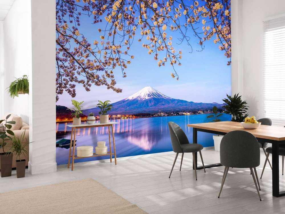 De Fuji berg aan het water