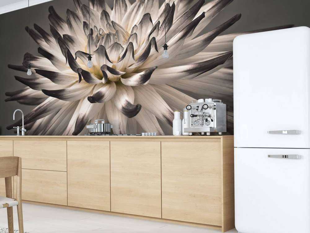 Dahlia bloem zwart wit