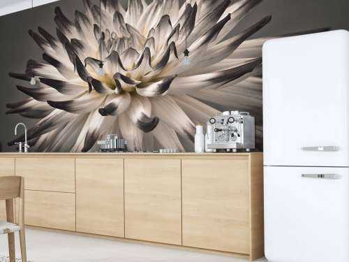Dahlia bloem zwart wit