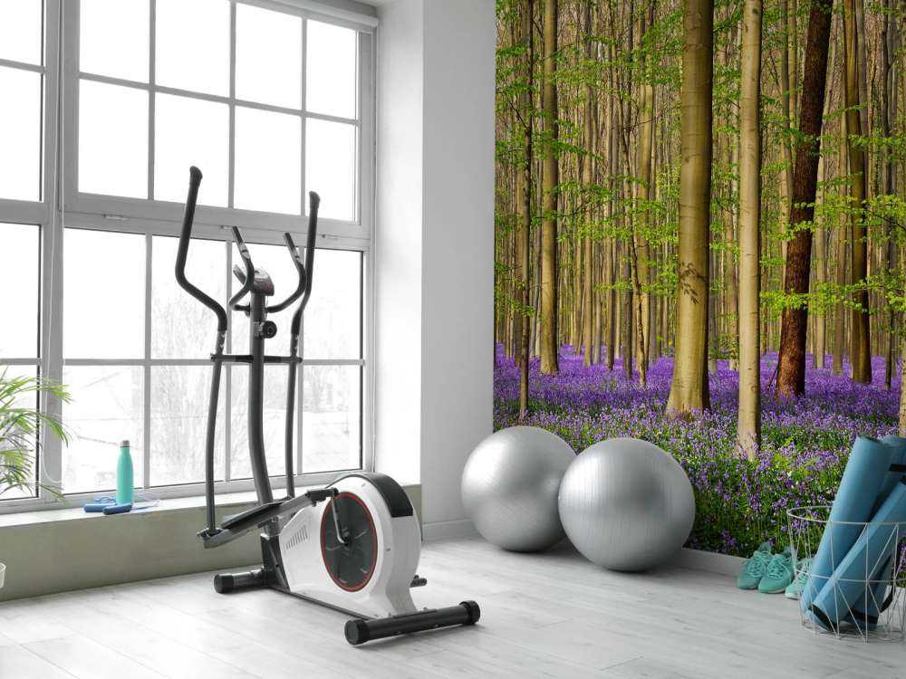 Bos met boshyacinten