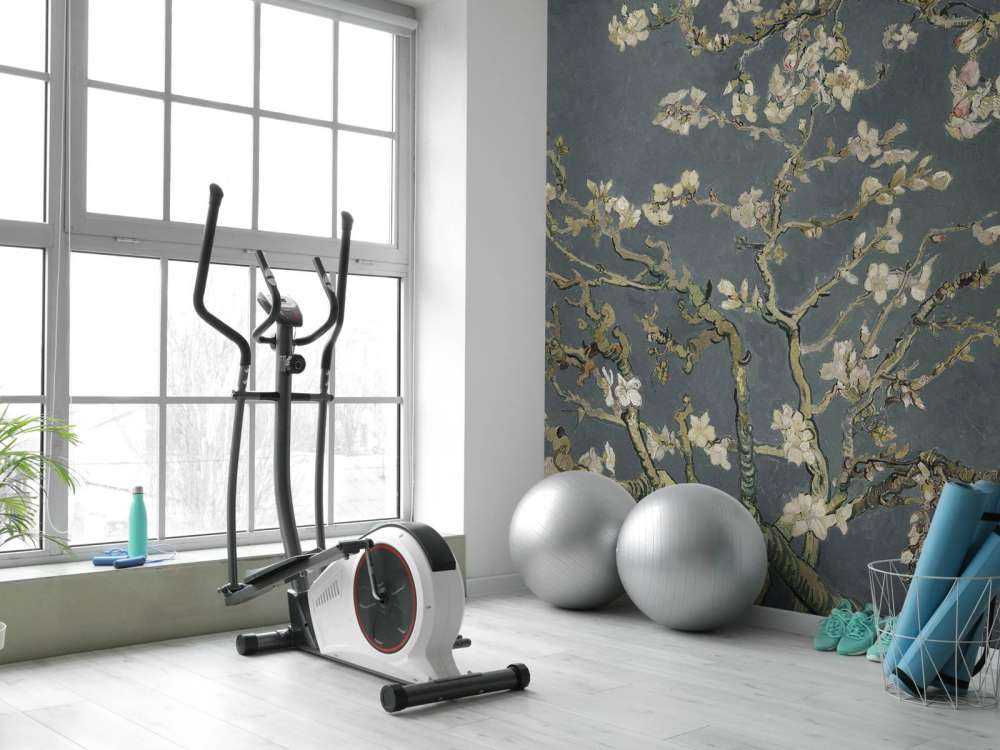 Amandelbloesem in Bloei