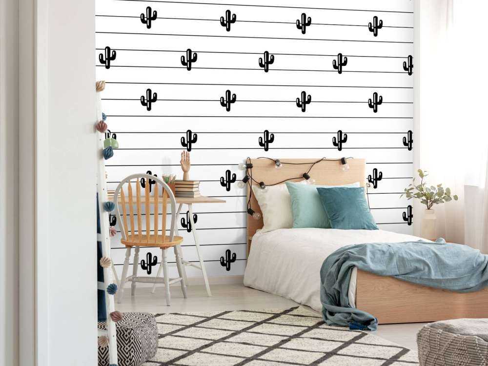 Cactussen en lijnen