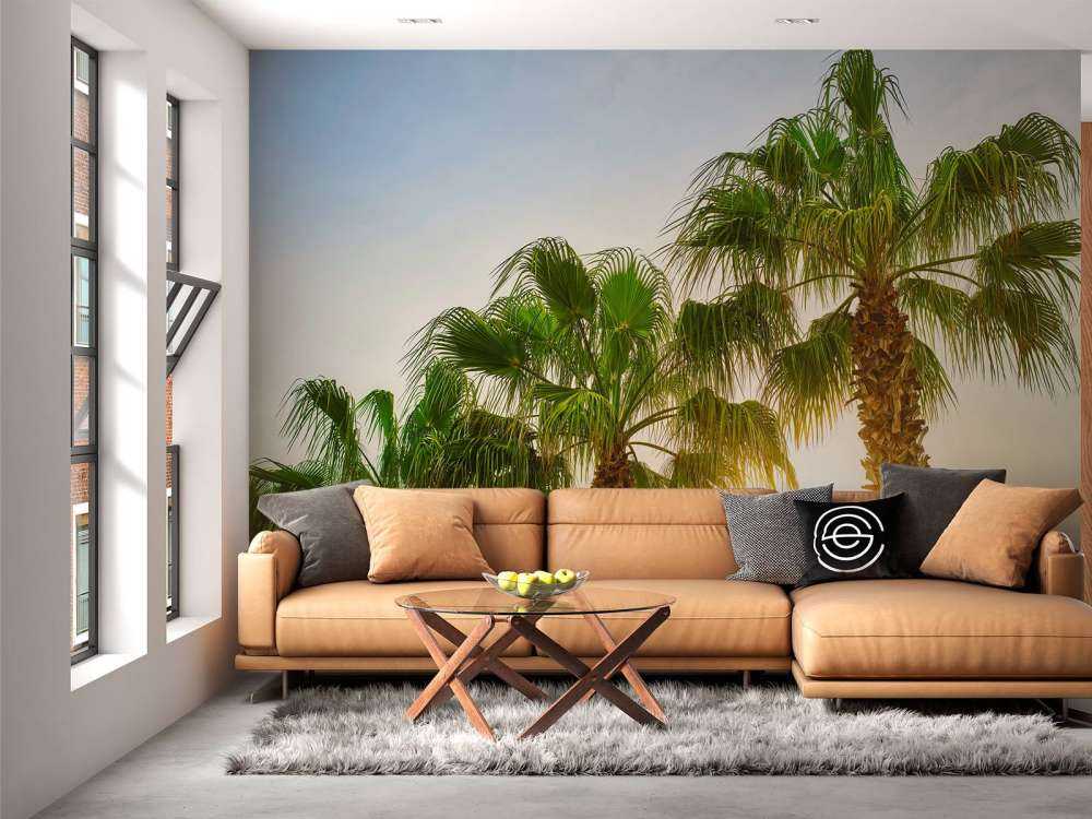 Palmbomen met zon