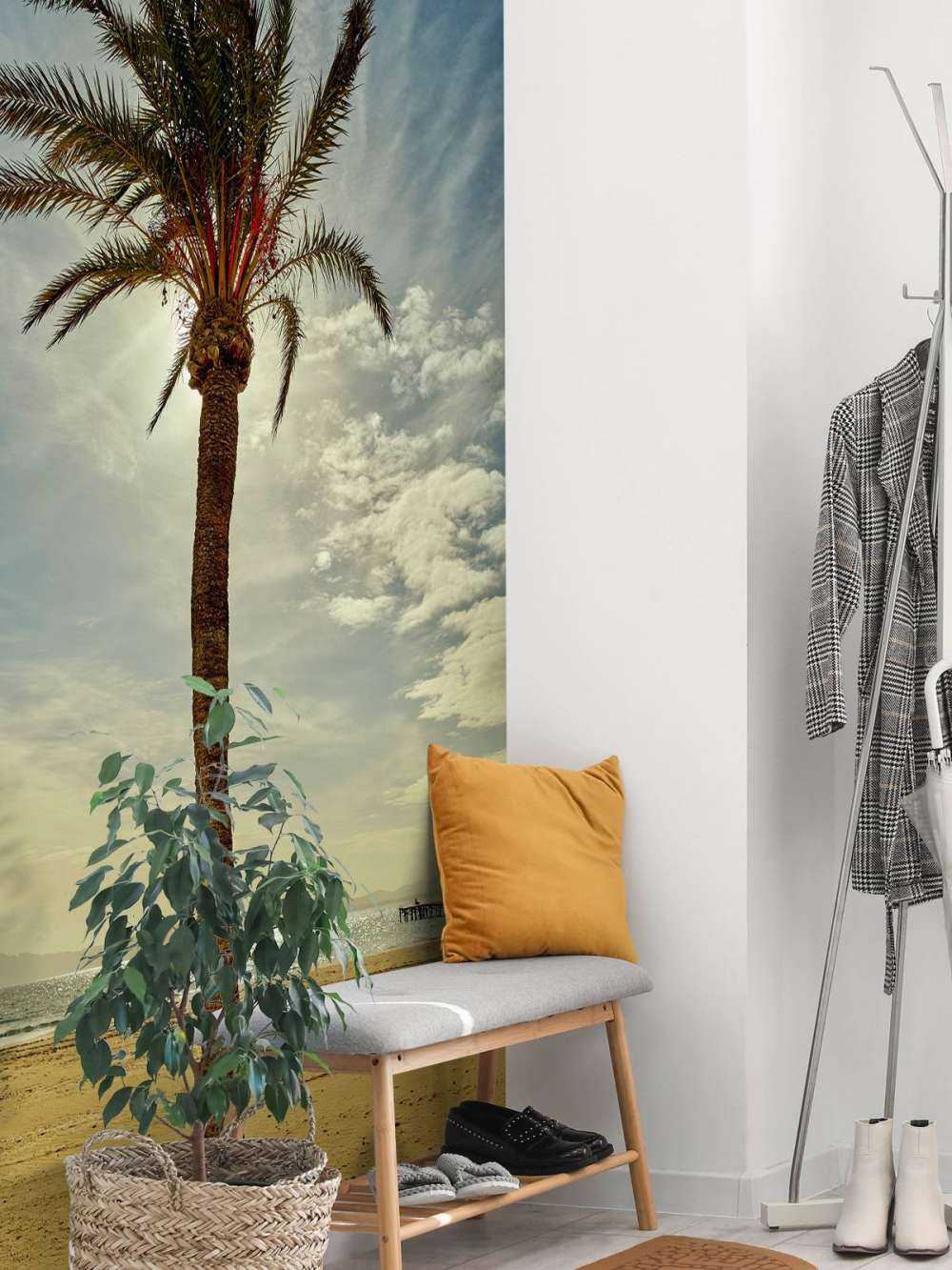 Palmboom in de zon