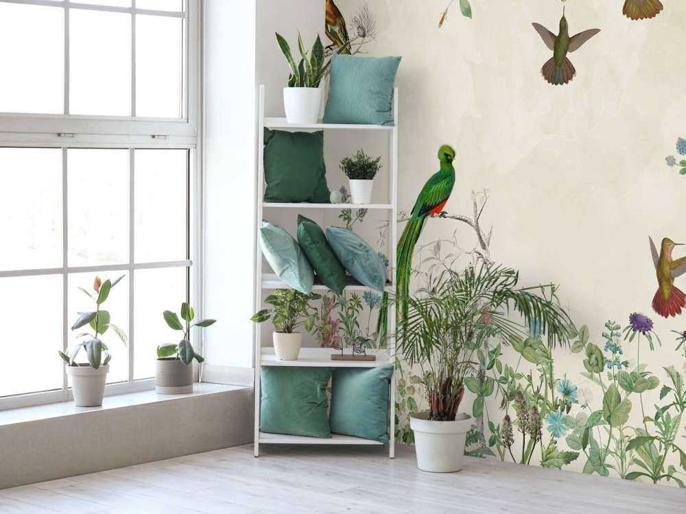 Fields of Colorful Birds