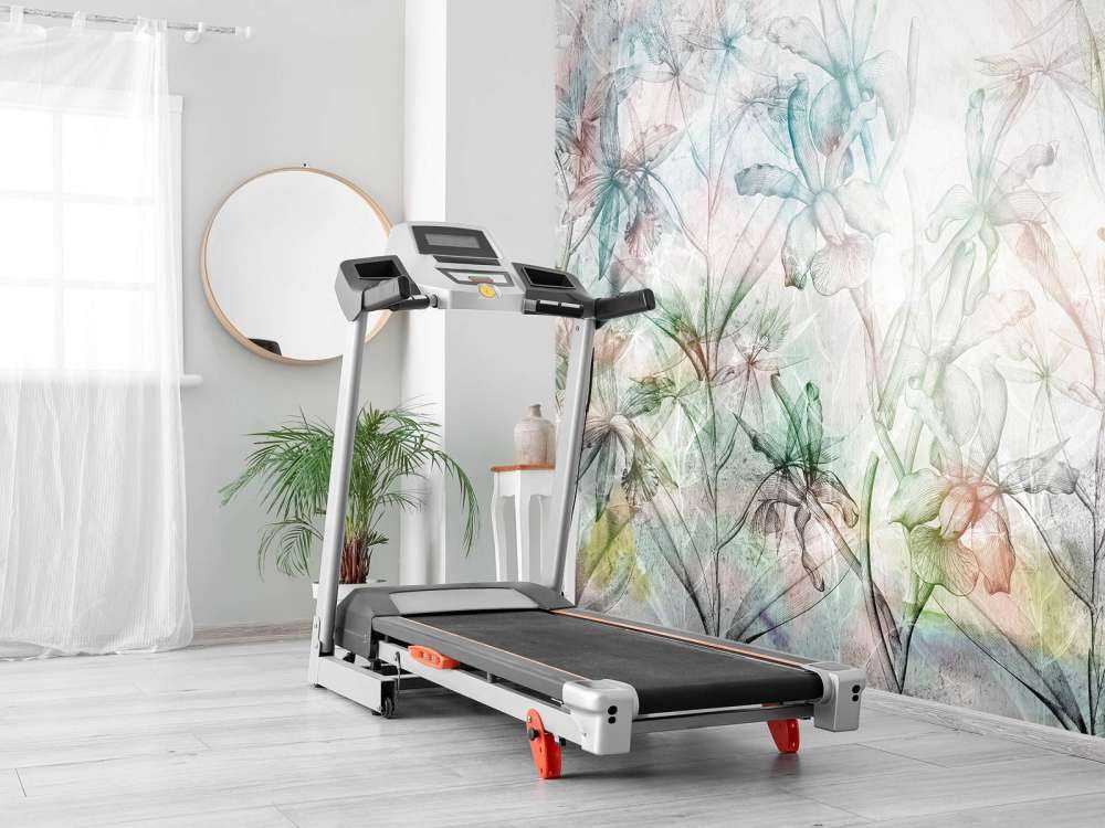 Concrete Orchid Dream