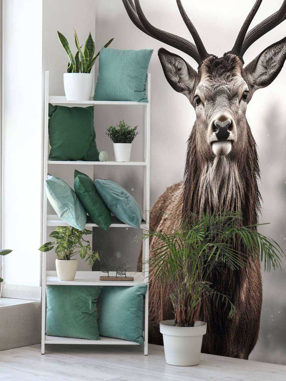 Winterkoning Herteblik