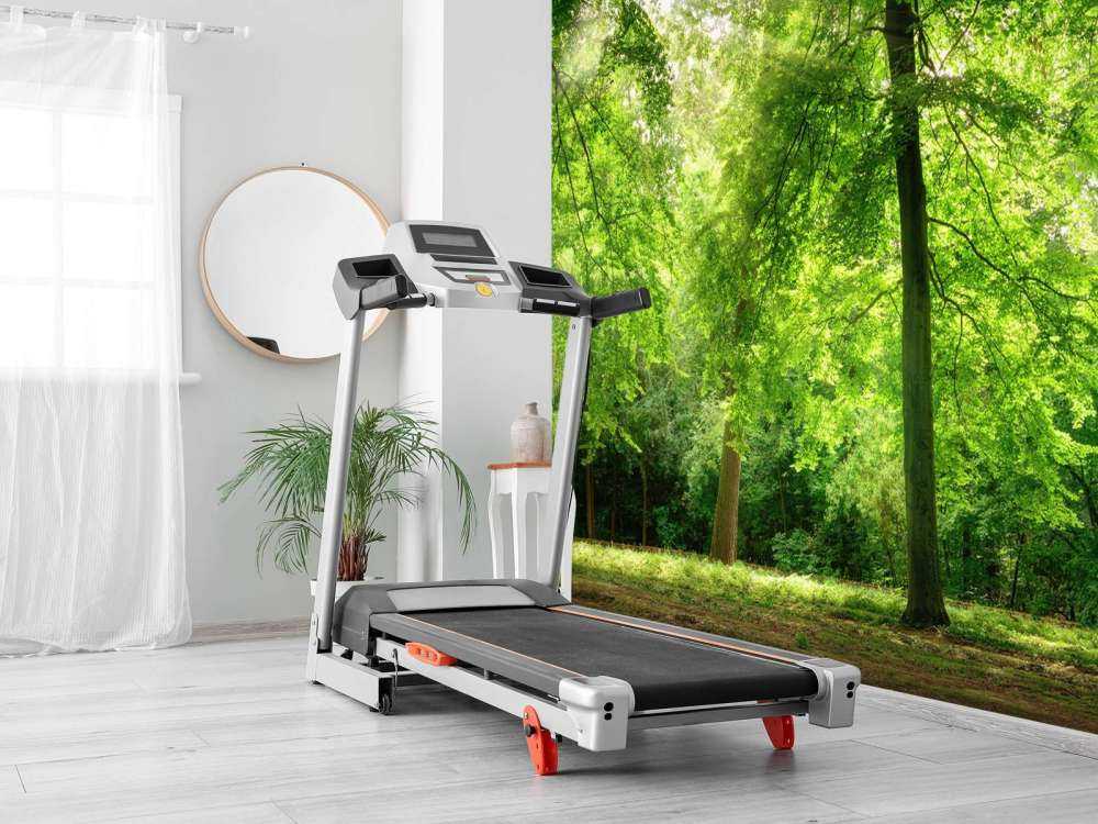 Bos met lichte nevel