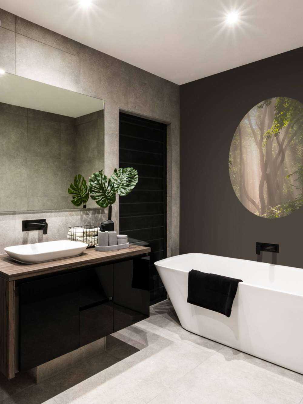 Kronkelende boom in het bos