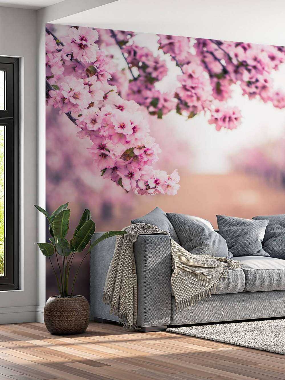 Paarse Japanse bloesems