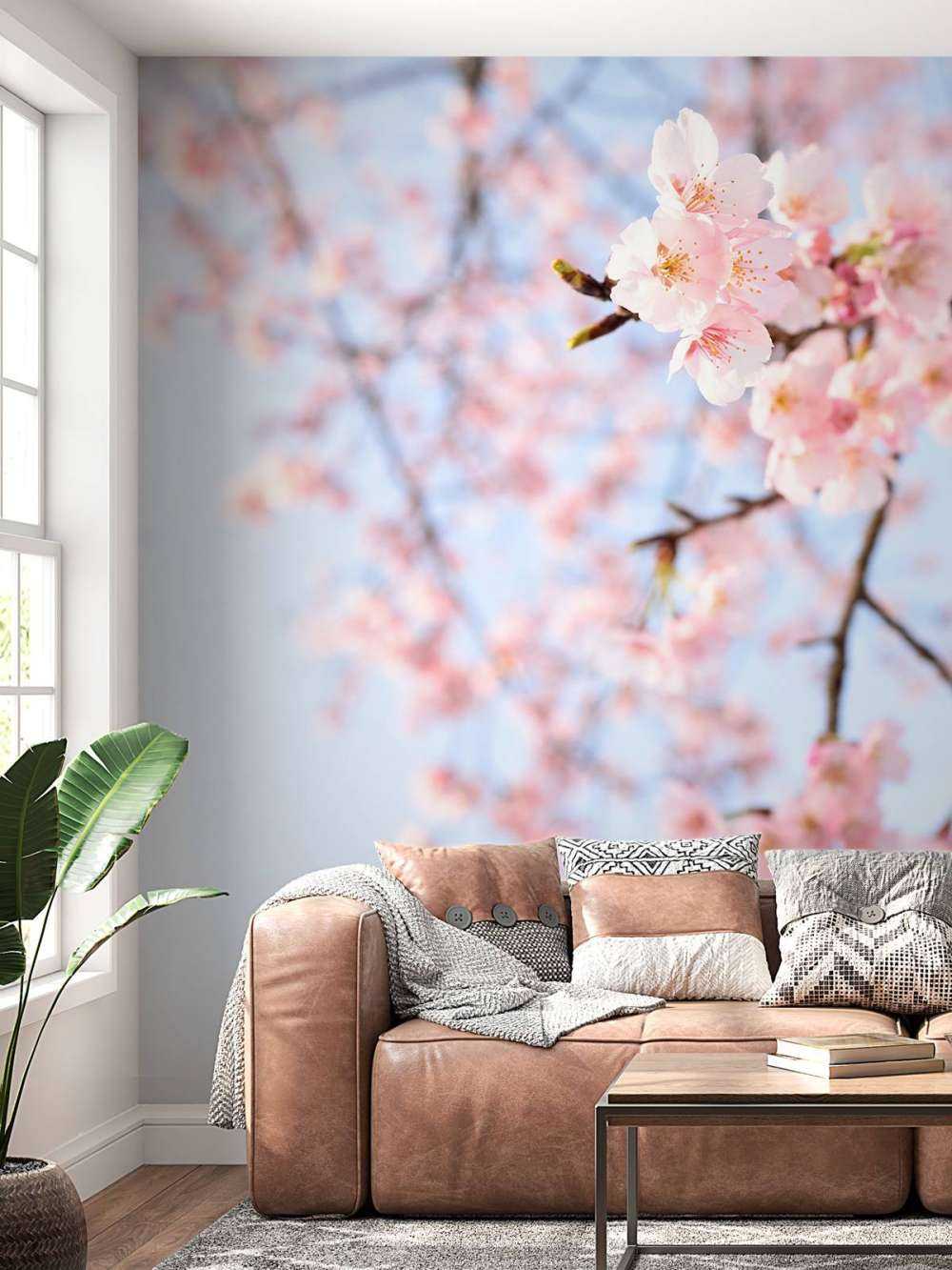 Japanse bloesems