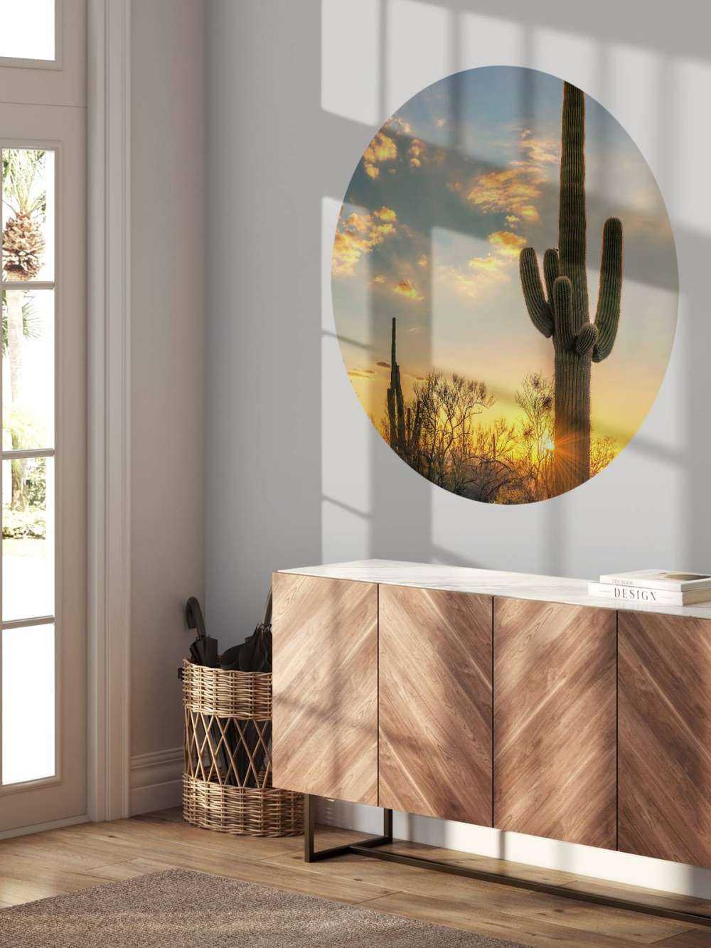 Cactus met zonsondergang