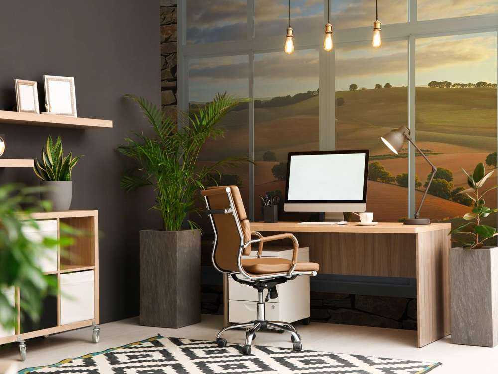 Glooiende heuvels in avondlicht