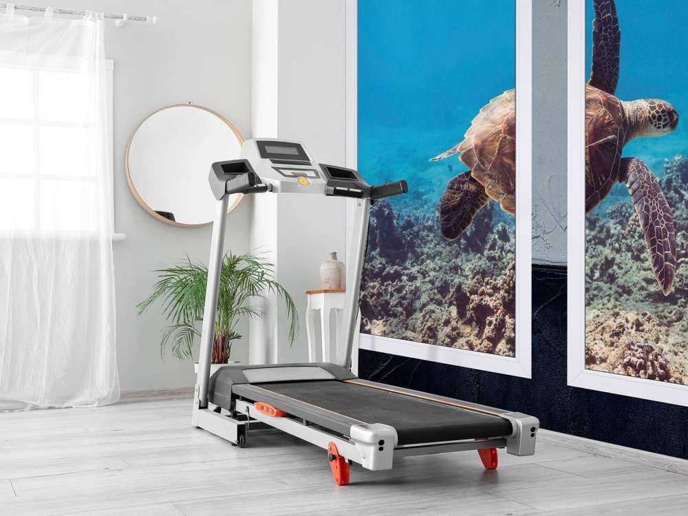 Zeeschildpad boven koraalrif