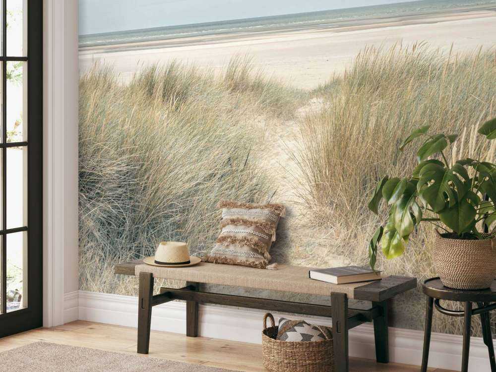 Grassy sand dunes on the sea coast under blue sky