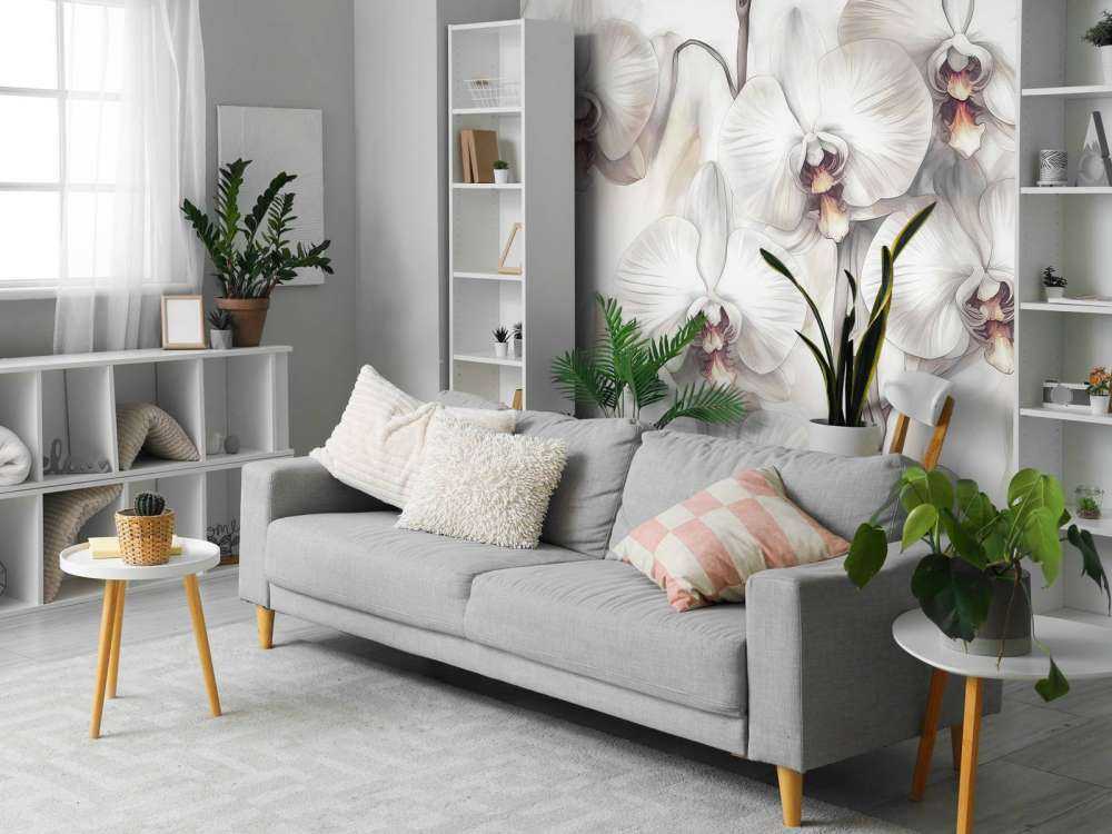 Orchids Paradise Orange